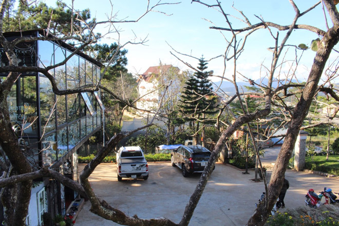 COCOON BUNGALOW - Khu lưu trú độc đáo tại Đà Lạt - 6