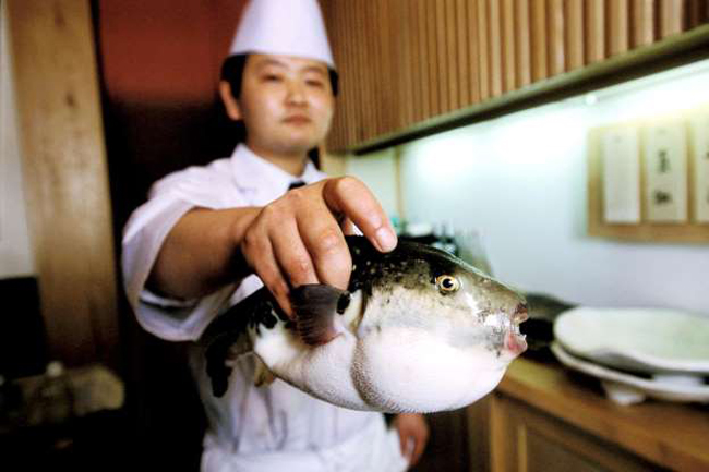 5. Cá nóc hay còn gọi là fugu, là món ngon nguy hiểm nhất thế giới. Các đầu bếp ở Nhật Bản trải qua nhiều năm đào tạo để tìm hiểu cách loại bỏ các phần độc hại của loại cá chứa chất độc gấp 1.200 lần so với xyanua này. Ăn chỉ 1 lượng nhỏ cá này nếu chưa được chế biến đúng cách có thể gây chết người.