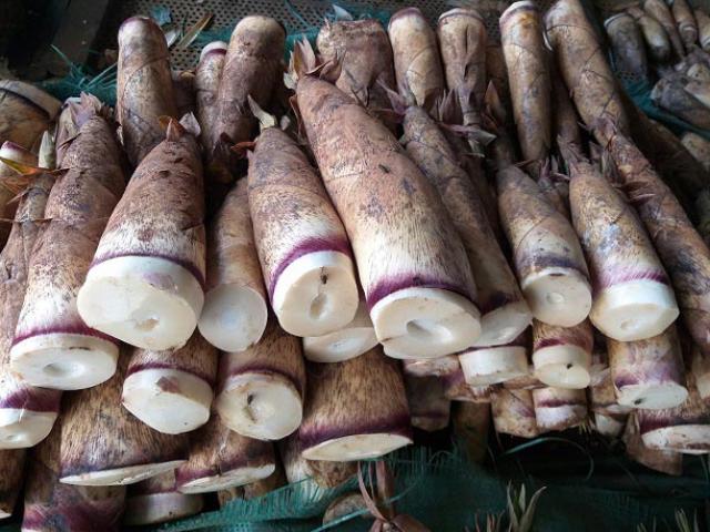 Thị trường - Tiêu dùng - Đặc sản măng đắng trắng nõn đầu mùa bán đắt như tôm tươi