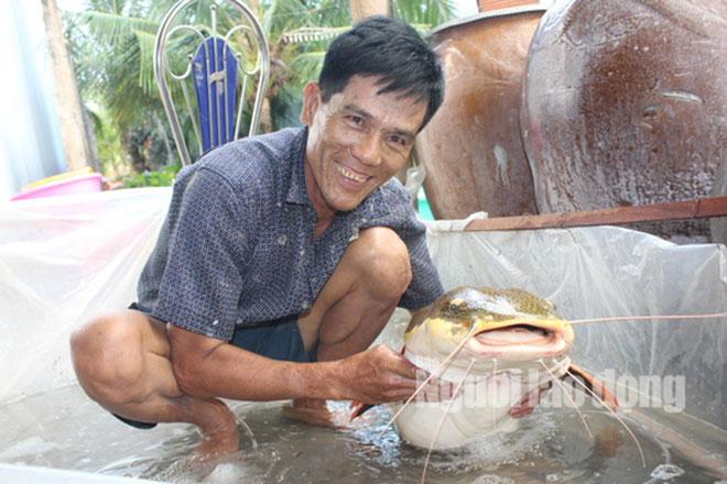 Lão nông ở Bạc Liêu bắt được “thủy quái” vùng Amazon nặng 15 kg - 1