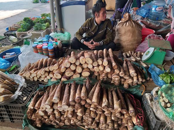 Đặc sản măng đắng trắng nõn đầu mùa bán đắt như tôm tươi - 4