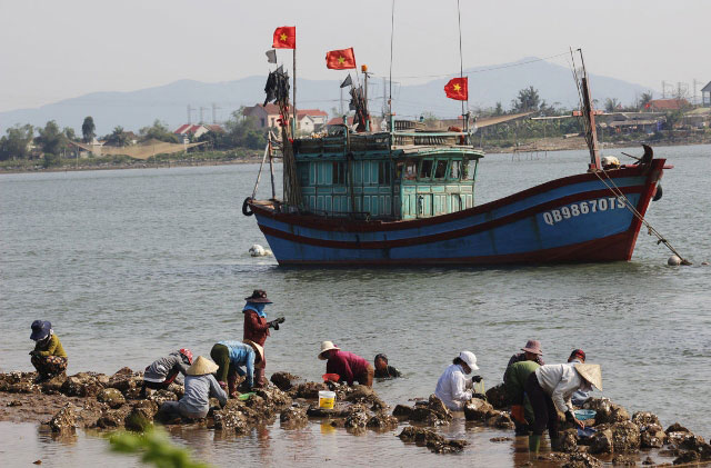 Săn &#34;thần dược&#34; tăng cường bản lĩnh đàn ông bên dòng sông Gianh - 1