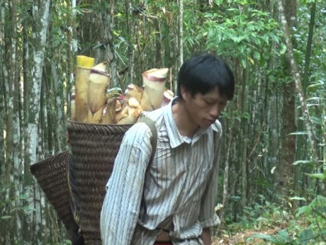 Thị trường - Tiêu dùng - Nghệ An: Mùa xuân đi hái "lộc rừng" đăng đắng kiếm bộn tiền