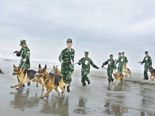 Chuyện về những 'chiến sĩ' cảnh khuyển - 2