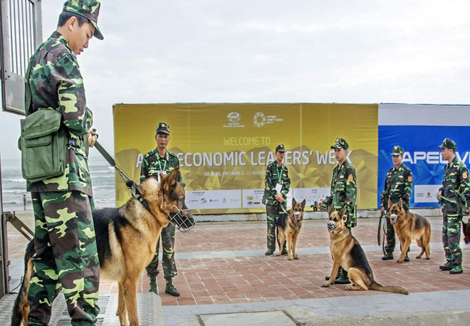 Chuyện về những 'chiến sĩ' cảnh khuyển - 3