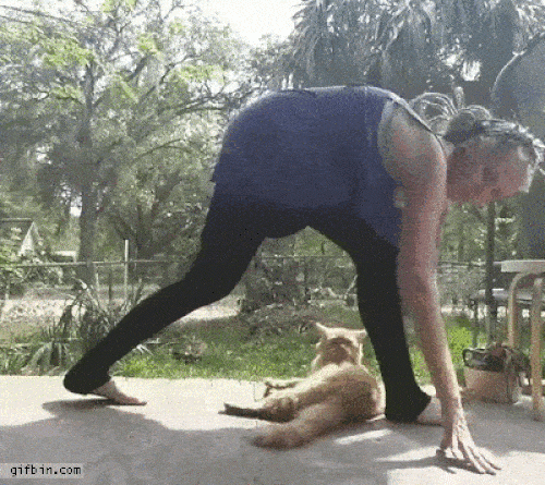 Cái kết khi đặt niềm tin vào nhầm người - 1