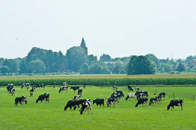 Những “chiến binh mẹ” với sứ mệnh đi tìm sữa tươi chuẩn cho con - 2