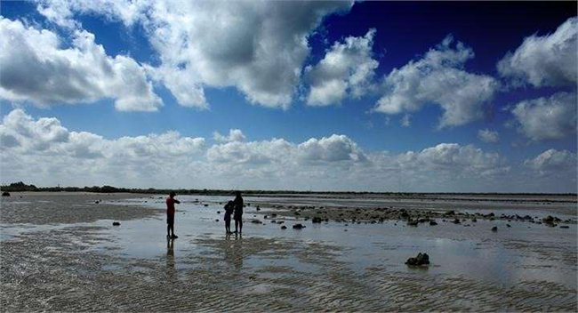 Công viên quốc gia biển Narara, Gujarat: Toàn bộ khu vực thường bị ngập trong thủy triều cao, nhưng khi thủy triều rút xuống các sinh vật biển kỳ lạ tồn tại ở đây.