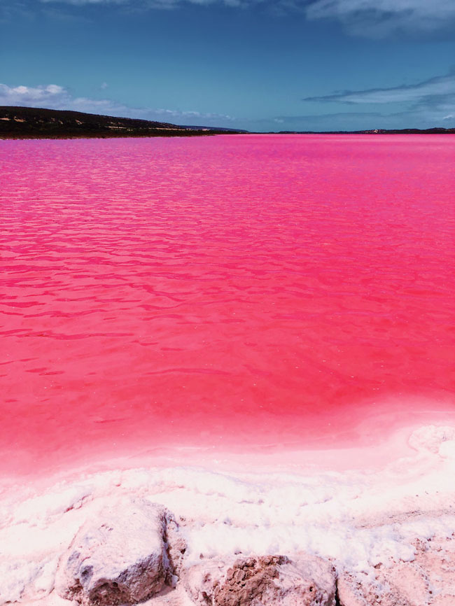 Giật mình phát hiện hồ nước màu hồng duy nhất trên thế giới - 3