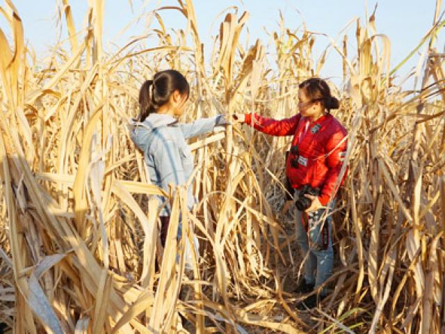 Thị trường - Tiêu dùng - Gia Lai: Ao hồ cạn kiệt, mía, tiêu cùng “tiêu”