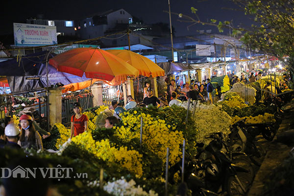 Hình ảnh náo nhiệt tại chợ hoa lớn nhất Hà Nội trước ngày 8.3 - 2