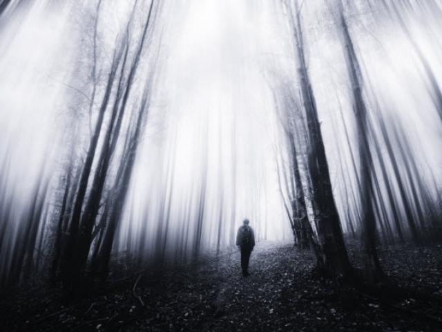 Du lịch - Bên trong khu rừng ma ám đáng sợ nhất thế giới