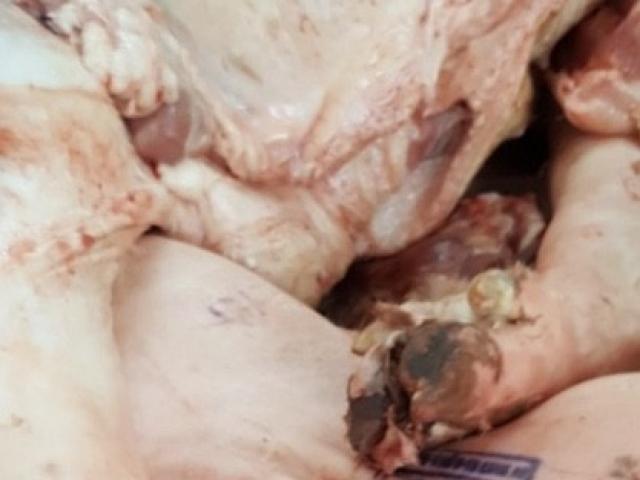 Thị trường - Tiêu dùng - Chặn hàng tấn heo có mụn nước vào chợ đầu mối Bình Điền