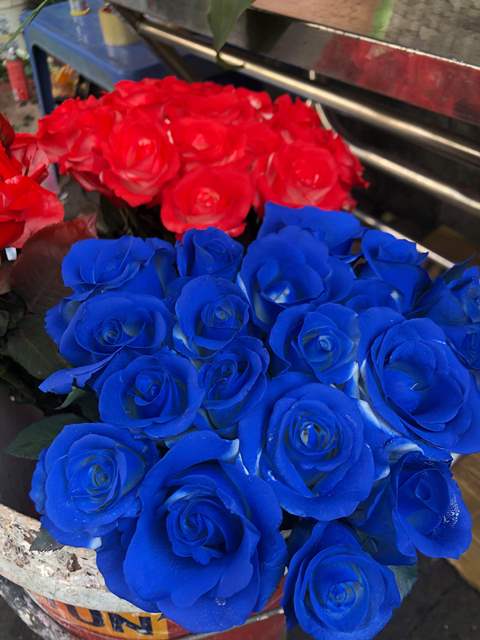 Chen chân ở chợ hoa ngày 8.3 - 11