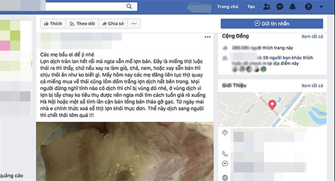 1 Facebooker bị triệu tập vì tung tin sai về dịch lợn - 1