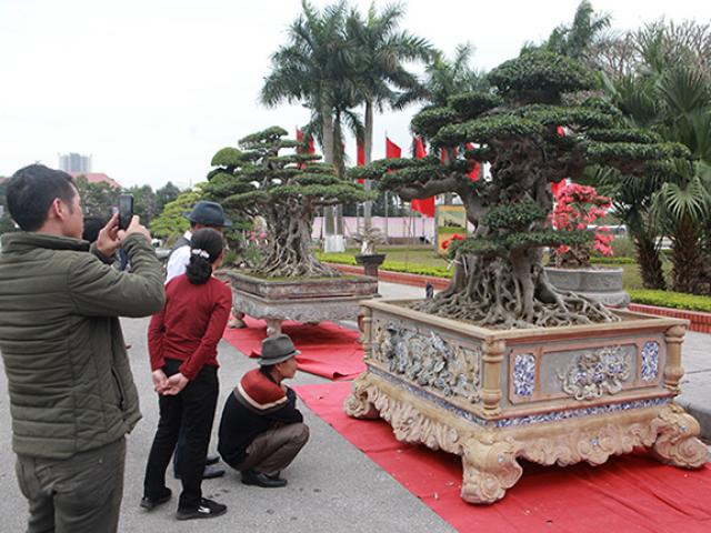 Thị trường - Tiêu dùng - "Song sanh" 15 tỷ của đại gia Hà Nội đẹp tới mức nào?