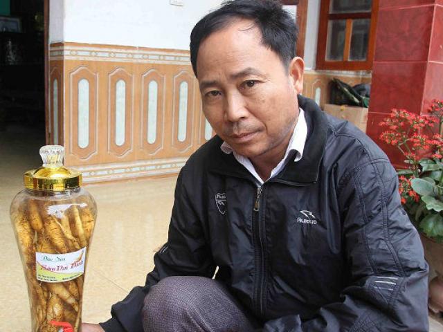 Thị trường - Tiêu dùng - "Hồi sinh” loài sâm kỳ lạ từng giúp mẹ vua Tự Đức khỏi mù lòa