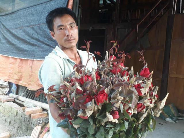 Trồng hoa hồng nơi phố núi, anh Vinh ”rinh” gần 1 tỷ mỗi năm