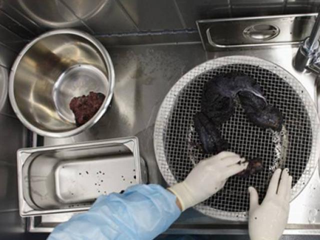 Thị trường - Tiêu dùng - Bí mật nơi làm ra "vàng đen" xa xỉ, ăn một miếng "bay" bạc triệu