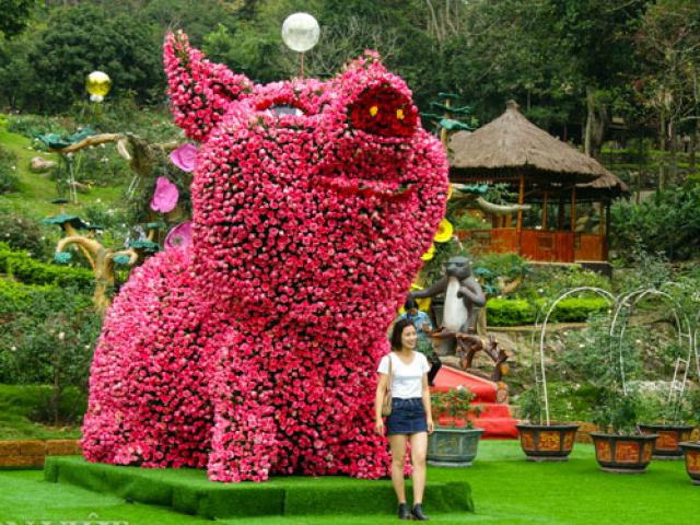 Tin tức trong ngày - Ngắm chú lợn khổng lồ kết từ hơn vạn bông hồng tươi ở Ba Vì