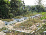 Tin tức trong ngày - Rà soát nguồn gốc mồ mả khu vực giải phóng mặt bằng mở rộng sân bay Phú Bài