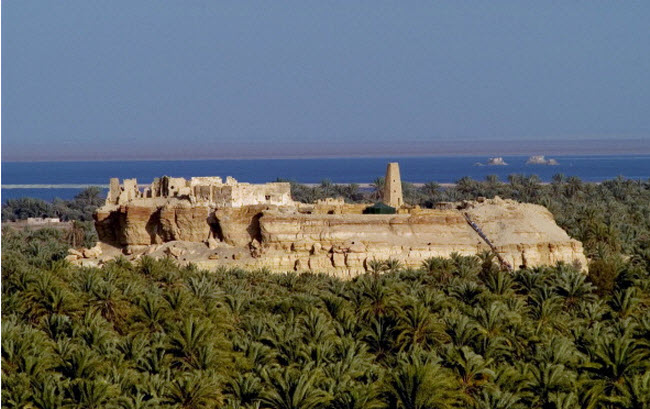 6. Ốc đảo Siwa, Ai Cập: Địa điểm này nằm hẻo lánh ở giữa sa mạc Western ở Ai Cập., cách biên giới Libya khoảng 50km và cách thành phố Cairo khoảng 560km.