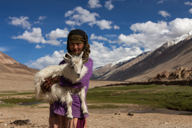 Changtang là nơi sinh sống của bộ tộc du mục Changpa. Họ nuôi gia súc và sử dụng các sản phẩm như sữa và bơ động vật để đổi lấy ngũ cốc, xoong nồi, dao và các vận dụng hiện đại khác. Động vật hoang dã ở đây bao gồm gấu nâu, báo tuyết, lừa hoang dã và bò Tây Tạng.