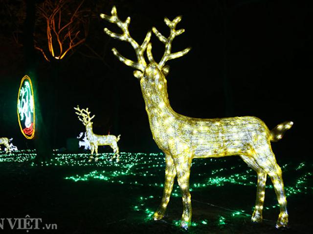 Du lịch - Hình ảnh "khu vườn ánh sáng" ở Hà Nội hút đông bạn trẻ đến check-in