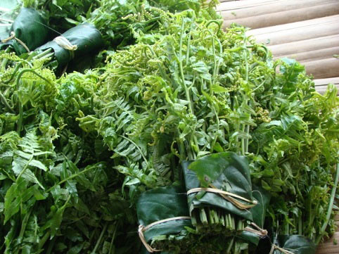 Rau dớn, bò khai, tầm bóp giá &#34;đắt cắt cổ&#34; đang &#34;cháy hàng&#34; ở Thủ đô - 1