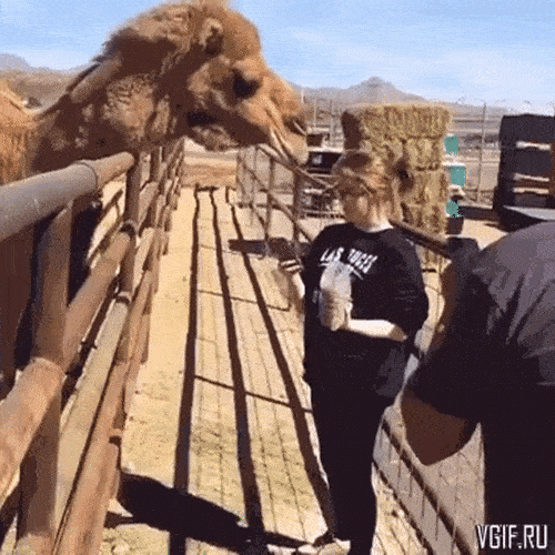 Gái xinh thể hiện... và cái kết "tắt điện" - 5