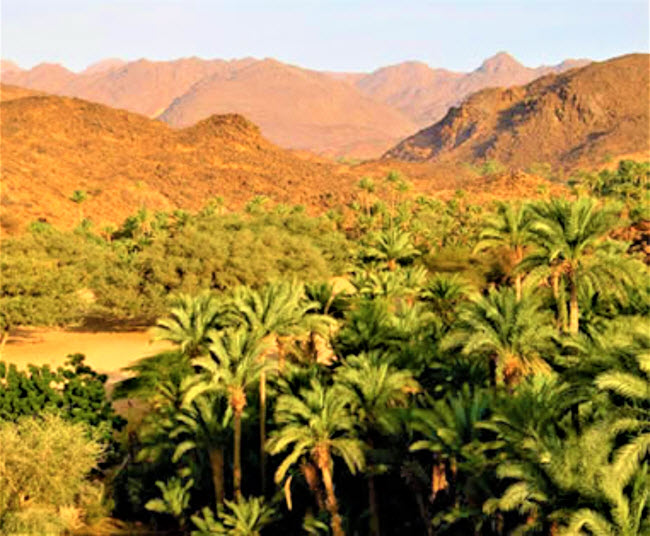 Timia, Niger: Timia là một thị trấn rất nhỏ ở Niger, nằm gần ốc đảo cùng tên với cây xanh tốt quanh năm.