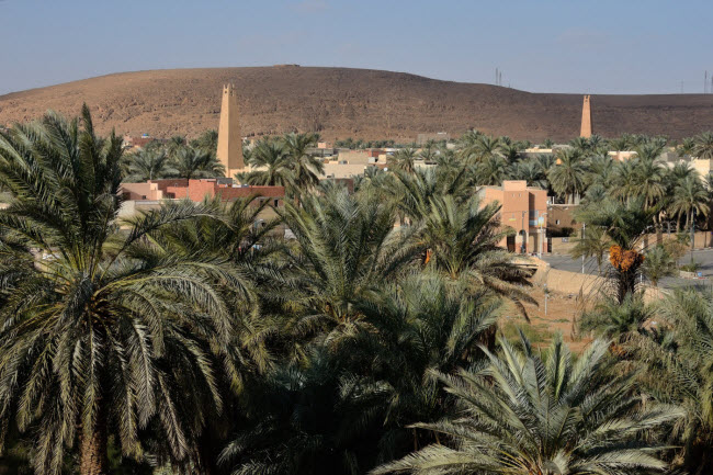 Ghardaïa, Algeria: Ốc đảo này là trung tâm của thị trấn cùng tên và đã được UNESCO cộng nhận là di sản thế giới.