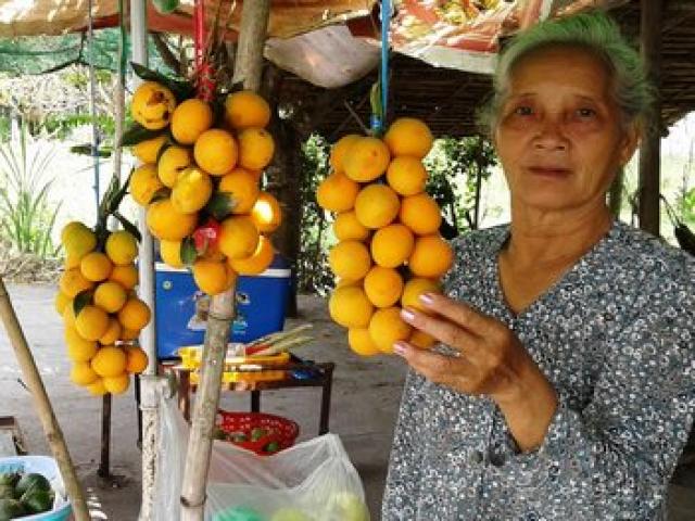 Thị trường - Tiêu dùng - Một thời vang bóng "cây vàng", nay bỏ thì thương, vương thì tội