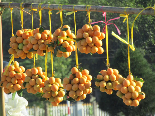 Một thời vang bóng "cây vàng", nay bỏ thì thương, vương thì tội - 4