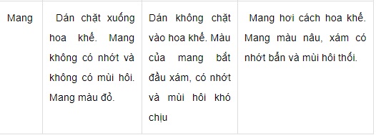 Muốn chọn cá tươi ngon chỉ cần nhìn 6 điểm này - 4