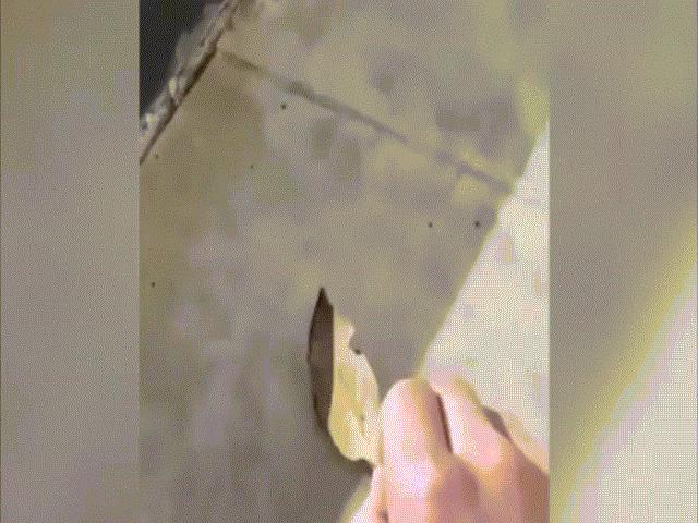 Chuyện lạ - Video: Người đàn ông nhặt lá khô, không ngờ "chiếc lá" tung cánh bay