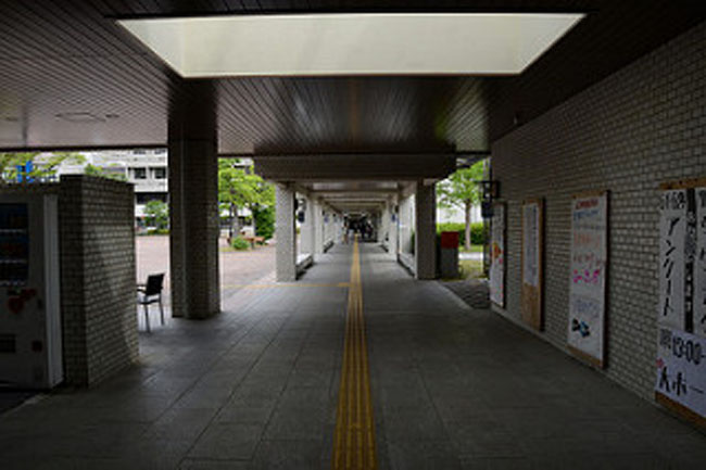 Chỉ có tới Nhật Bản du khách mới được chiêm ngưỡng những thứ độc đáo này - 5