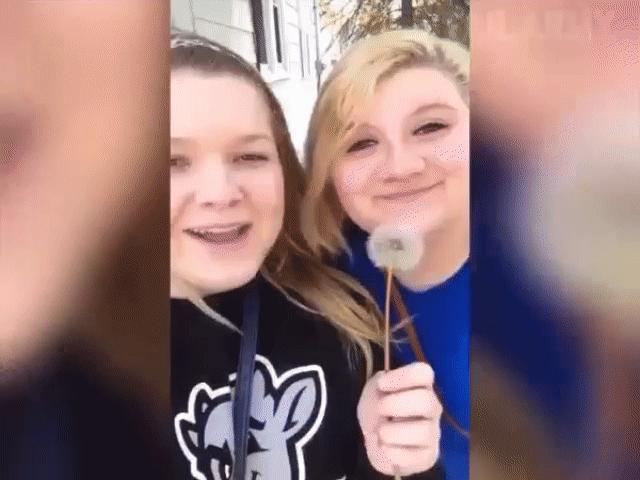 Video Clip Cười - Ném đủ "trái đắng" khi có bạn thân quá bá đạo