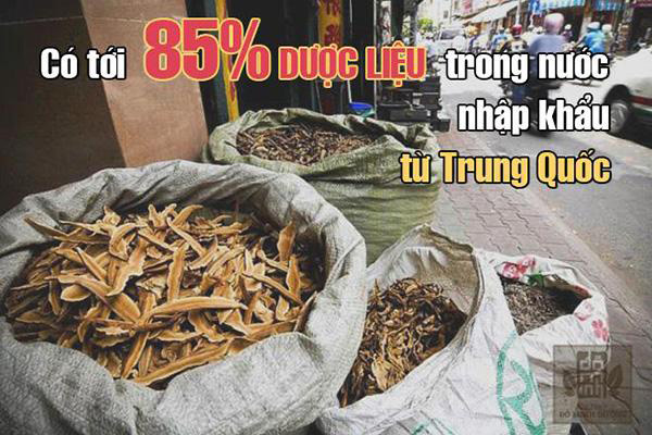 Nguyễn Tùng Lâm: Người thầy thuốc tâm huyết với cây thuốc Nam của người Việt - 2