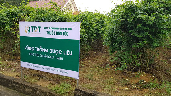 Mãnh lực Trường xuân - Nguồn gốc dược liệu sạch tạo nên sản phẩm an toàn - 1