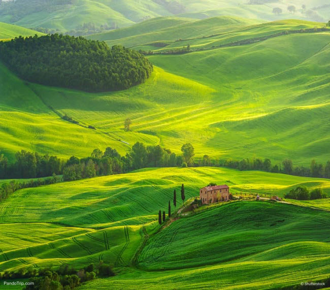 Một chuyến du ngoạn bằng đường bộ qua thung lũng Val d’Orcia vào mùa thu khiến bạn có cảm giác như lái xe qua lăng kính vạn hoa. Lá cây chuyển thành nhiều màu khác nhau từ đỏ cho tới vàng. Đây là địa điểm lý tưởng dành cho các họa sĩ và nhiếp ảnh gia từ khắp thế giới.