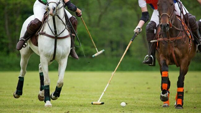 Môn thể thao Polo. Polo là môn thể thao được giới hoàng gia ưa chuộng. Một thành viên trong Câu lạc bộ Polo phải trả 3.000USD (69 triệu VND) một năm và 250.000USD (5,7 tỷ VND) cho 01 con ngựa.