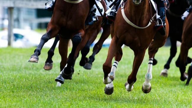 Đua ngựa. Chi phí trung bình cho một con ngựa tham gia đua là 65.000USD (1,5 tỷ VND). Phí vào cửa tại trường đua Kentucky Derby năm 2017 là 25.000USD (579 triệu VND).
