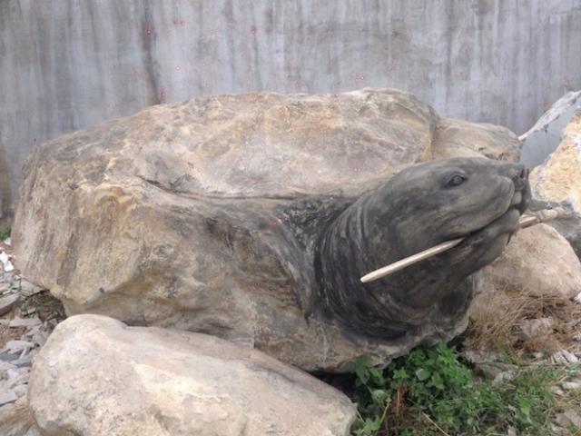 Ảnh: Cận cảnh rùa đá “Hồn thiêng đất Việt” nặng 20 tấn, 600 triệu không bán
