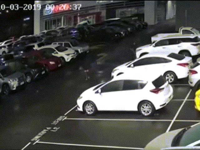 Media - Phẫn nộ hai "trẻ trâu" thay nhau đập phá 37 chiếc xe Toyota