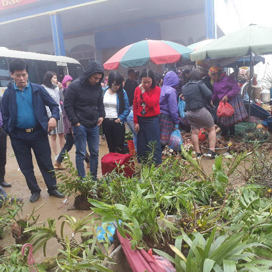 Du khách thích thú mua sản vật núi rừng Sơn La giữa biển mây mù - 2