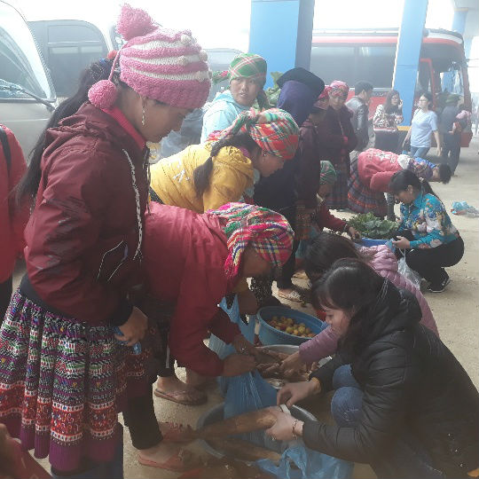 Du khách thích thú mua sản vật núi rừng Sơn La giữa biển mây mù - 3