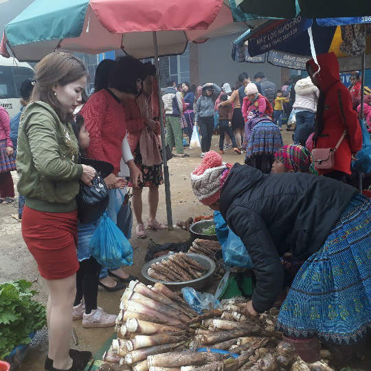 Du khách thích thú mua sản vật núi rừng Sơn La giữa biển mây mù - 5