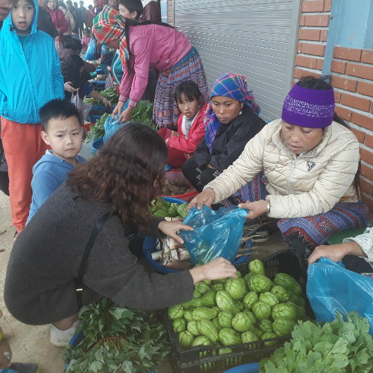 Du khách thích thú mua sản vật núi rừng Sơn La giữa biển mây mù - 6