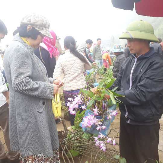 Du khách thích thú mua sản vật núi rừng Sơn La giữa biển mây mù - 7